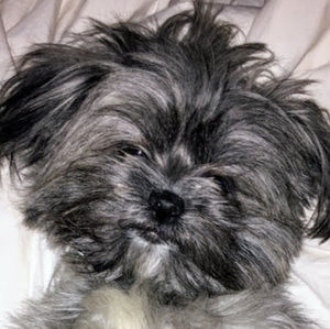 Meet your Posher, Jocelyn